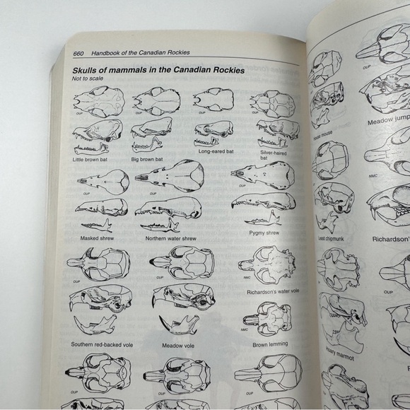 Handbook of the Canadian Rockies - Picture 5 of 10